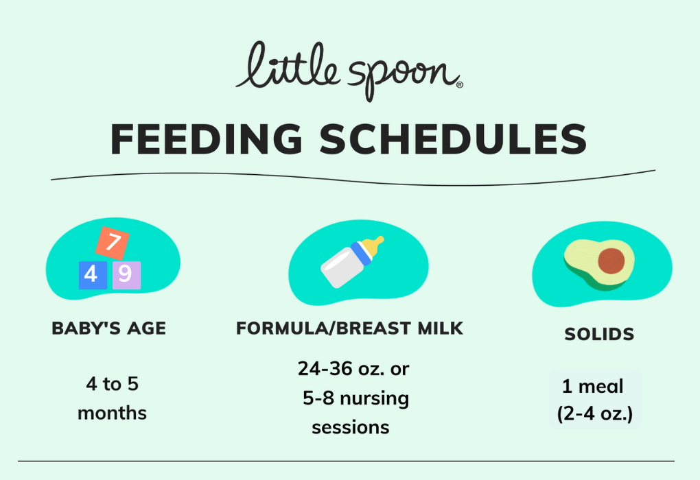 Starting Solid Foods: Spoon-feeding your 4 to 7 month old